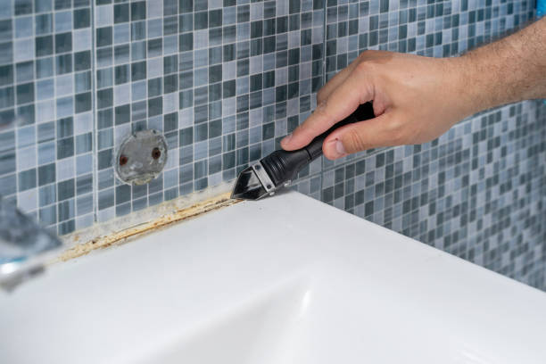 Best Local Mold Removal Service  in Hammond, LA